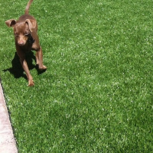 Artificial grass 20mm - artificial, 25mm