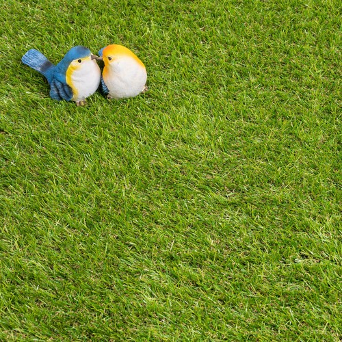 Artificial grass 30mm 5m - artificial, 4m